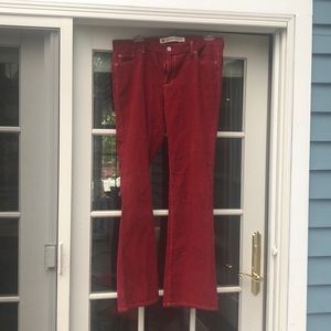 Gap wine red corduroy pants